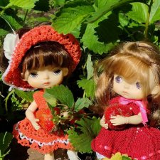 Мои помощники по саду-огороду.