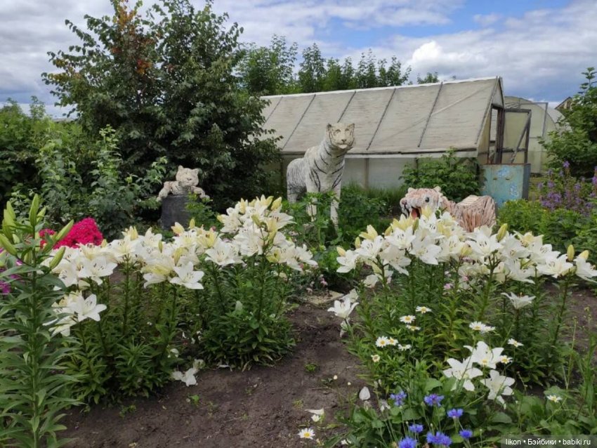 Куколки в деревне — Куклы Paola Reina (Паола Рейна): новинки (фото 4)