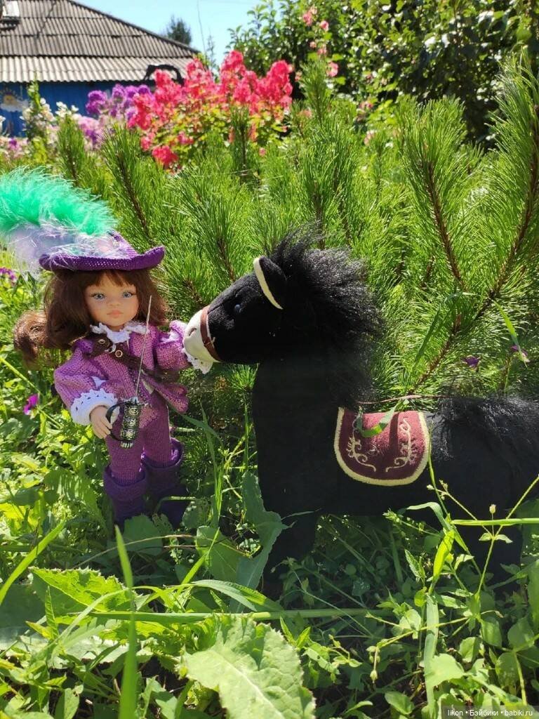 Мушкетер в деревне, с конем (фото 6)