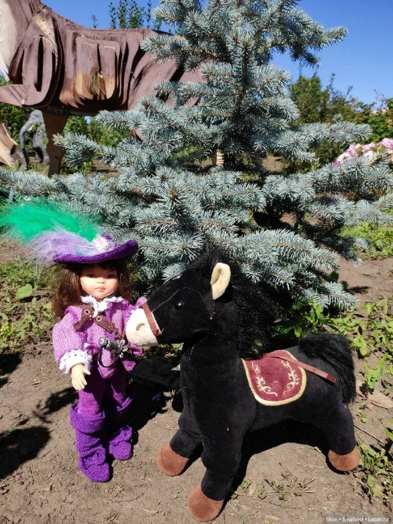 Мушкетер в деревне, с конем (фото 4)