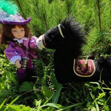 Мушкетер в деревне, с конем