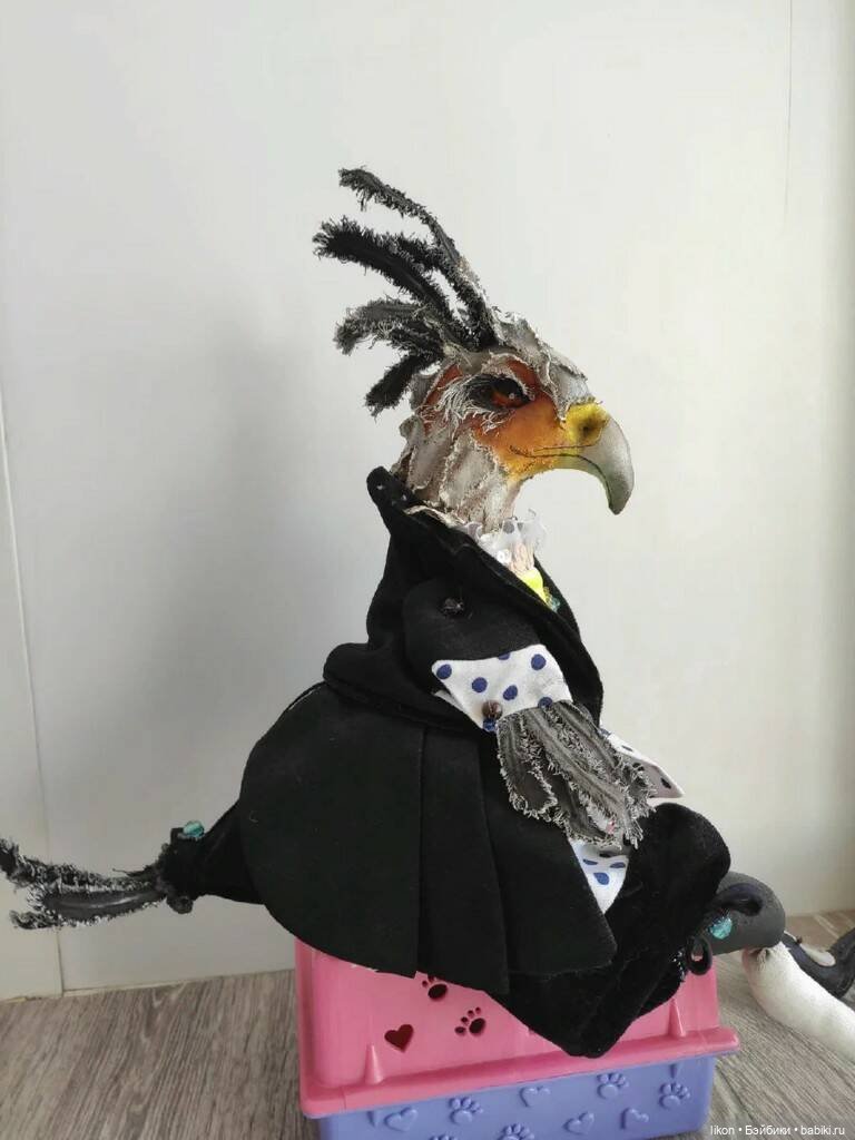 Птица секретарь приглашает всех на чай (фото 4)