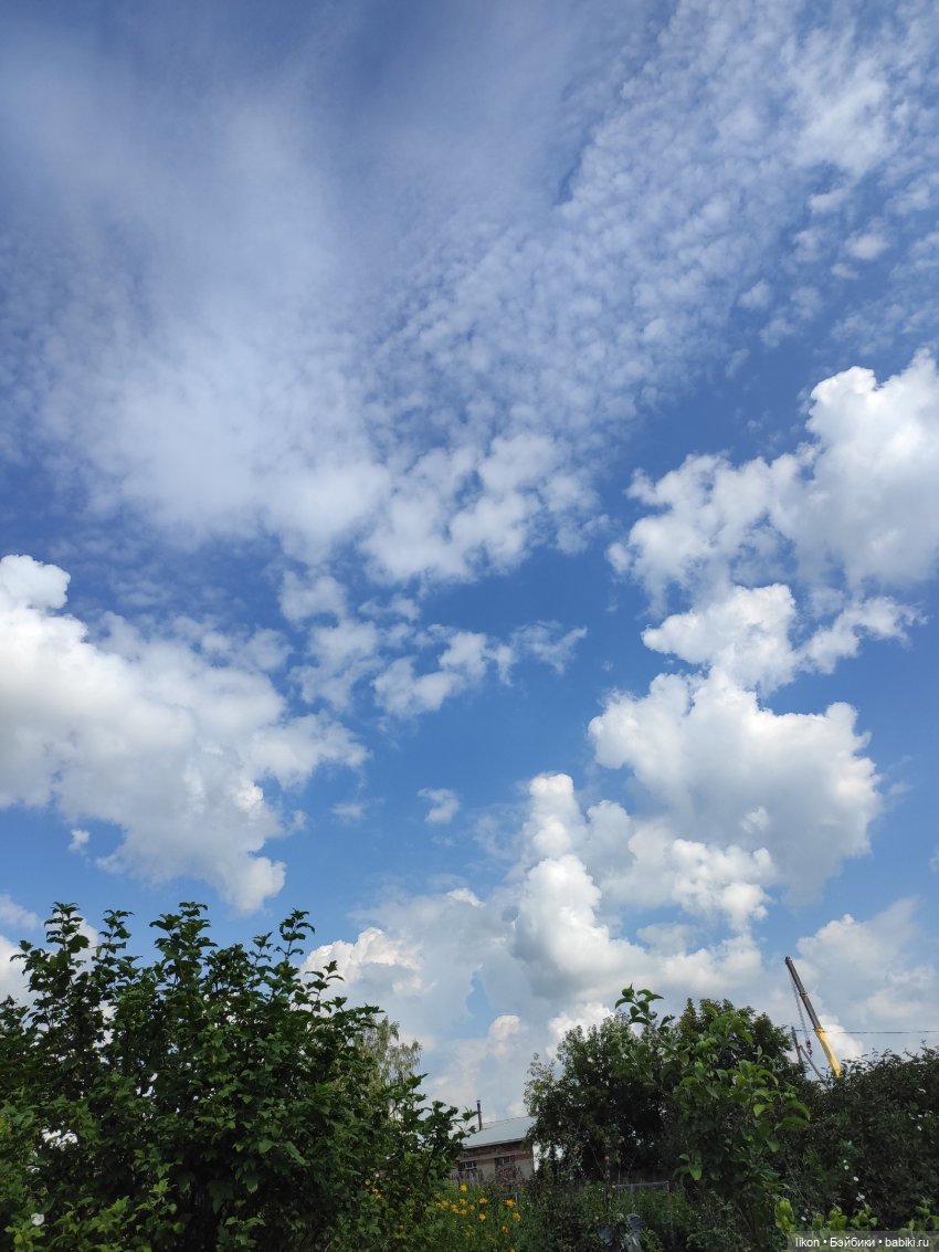 Красная Шапочка и Серый волк (фото 8)