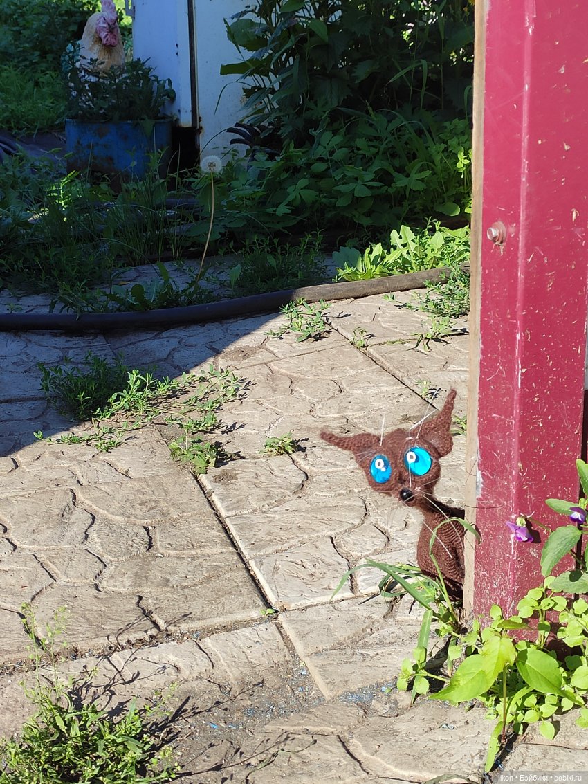 Жил да был черный кот за углом (фото 8)