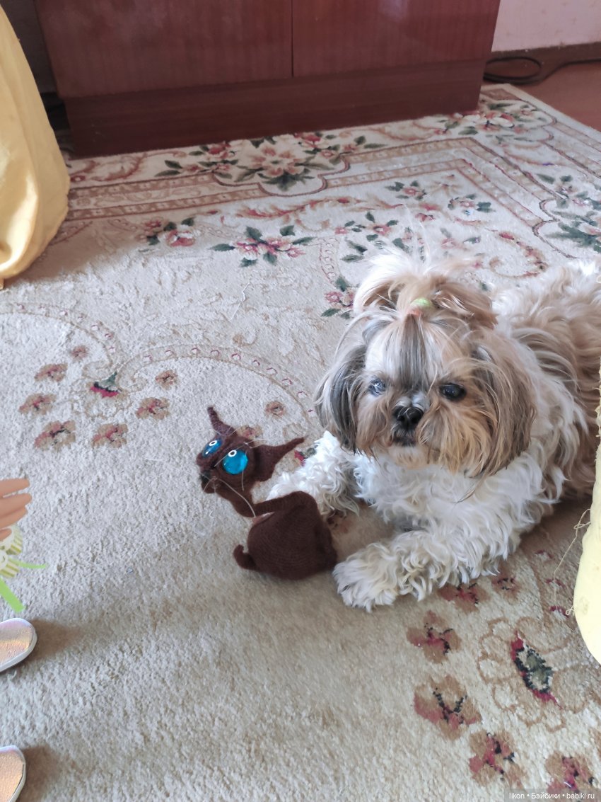 Жил да был черный кот за углом (фото 6)