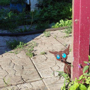 Жил да был черный кот за углом