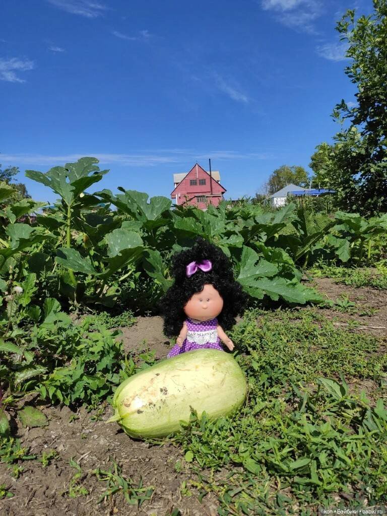 Булочки у бабушки в деревне (фото 9)