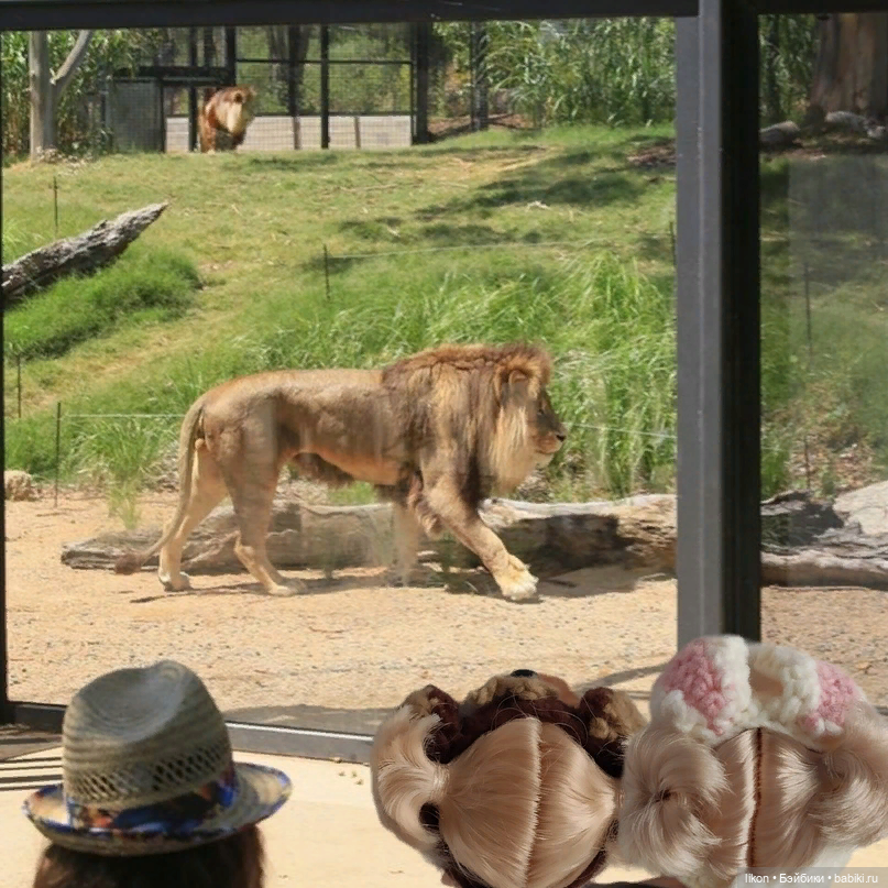 Приключения моих малявочек