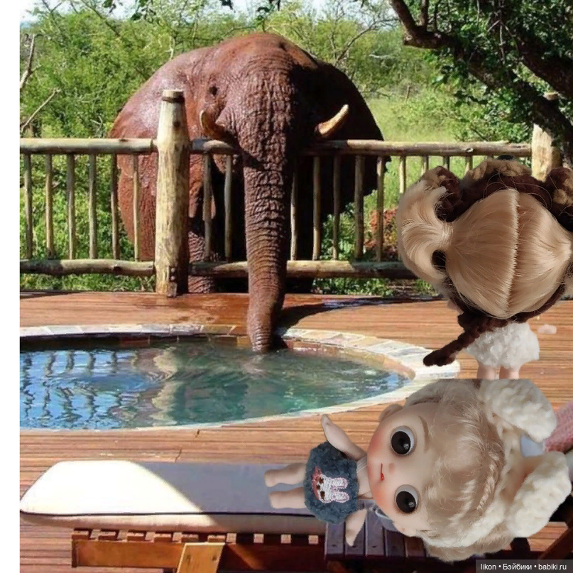 Приключения моих малявочек