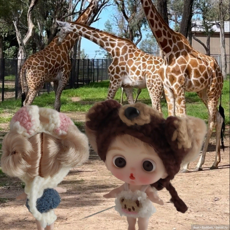 Приключения моих малявочек