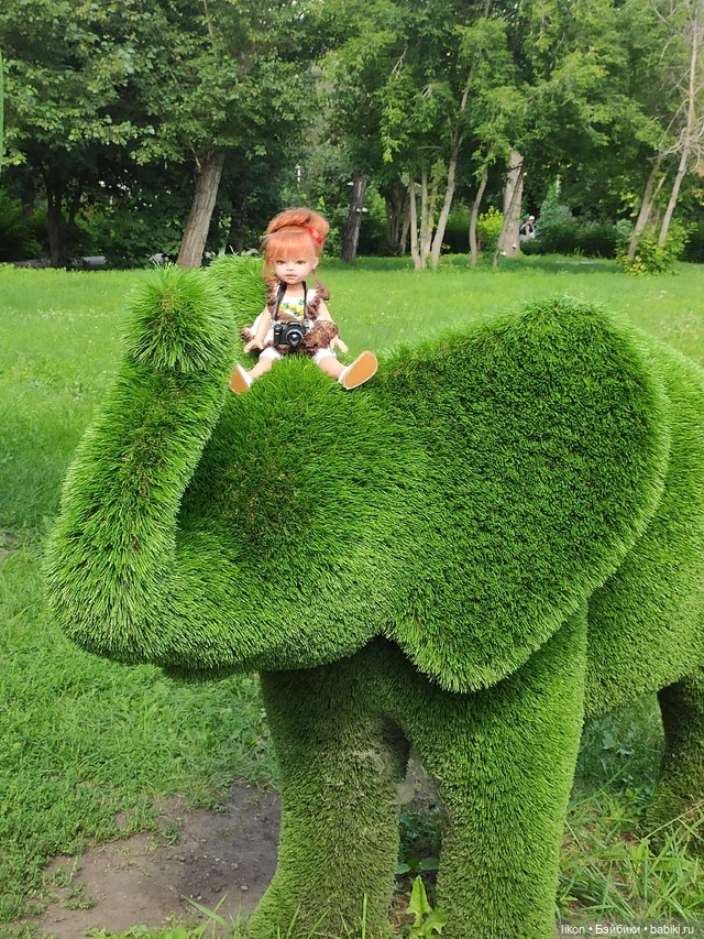 У нас вчера приключилось небольшое путешествие, длинною в один день