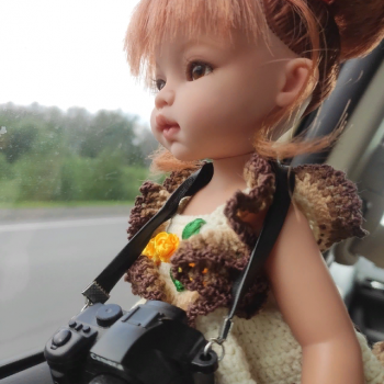 У нас вчера приключилось небольшое путешествие, длинною в один день