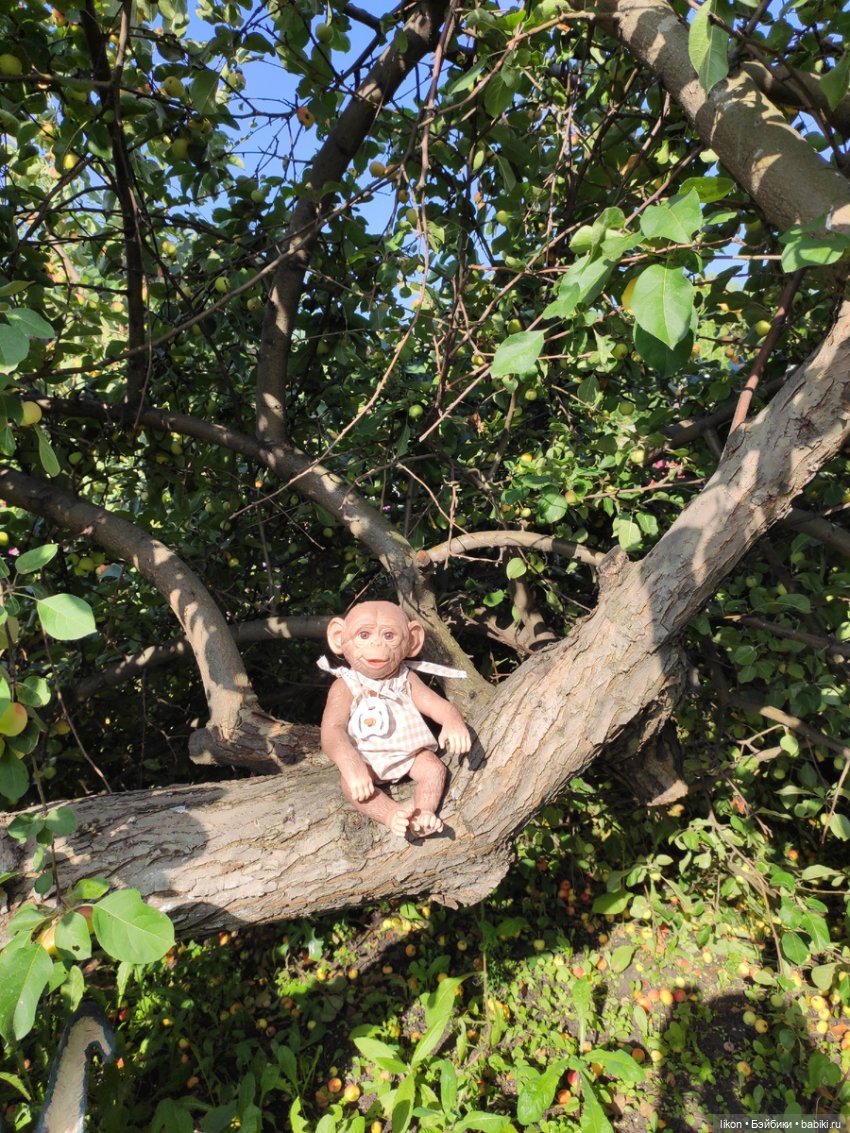 Мы пришли познакомиться. Я Гоша (фото 7)