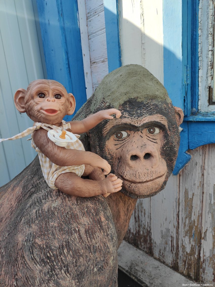 Мы пришли познакомиться. Я Гоша (фото 5)