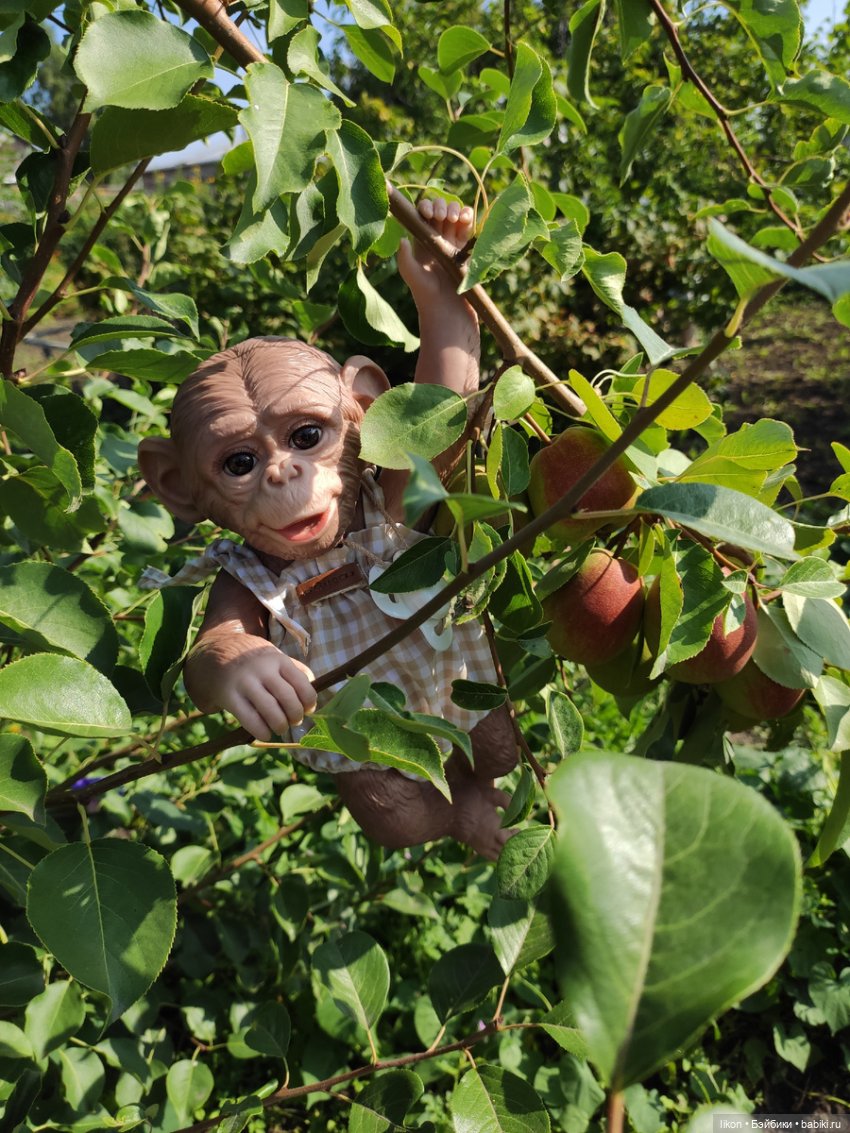 Мы пришли познакомиться. Я Гоша