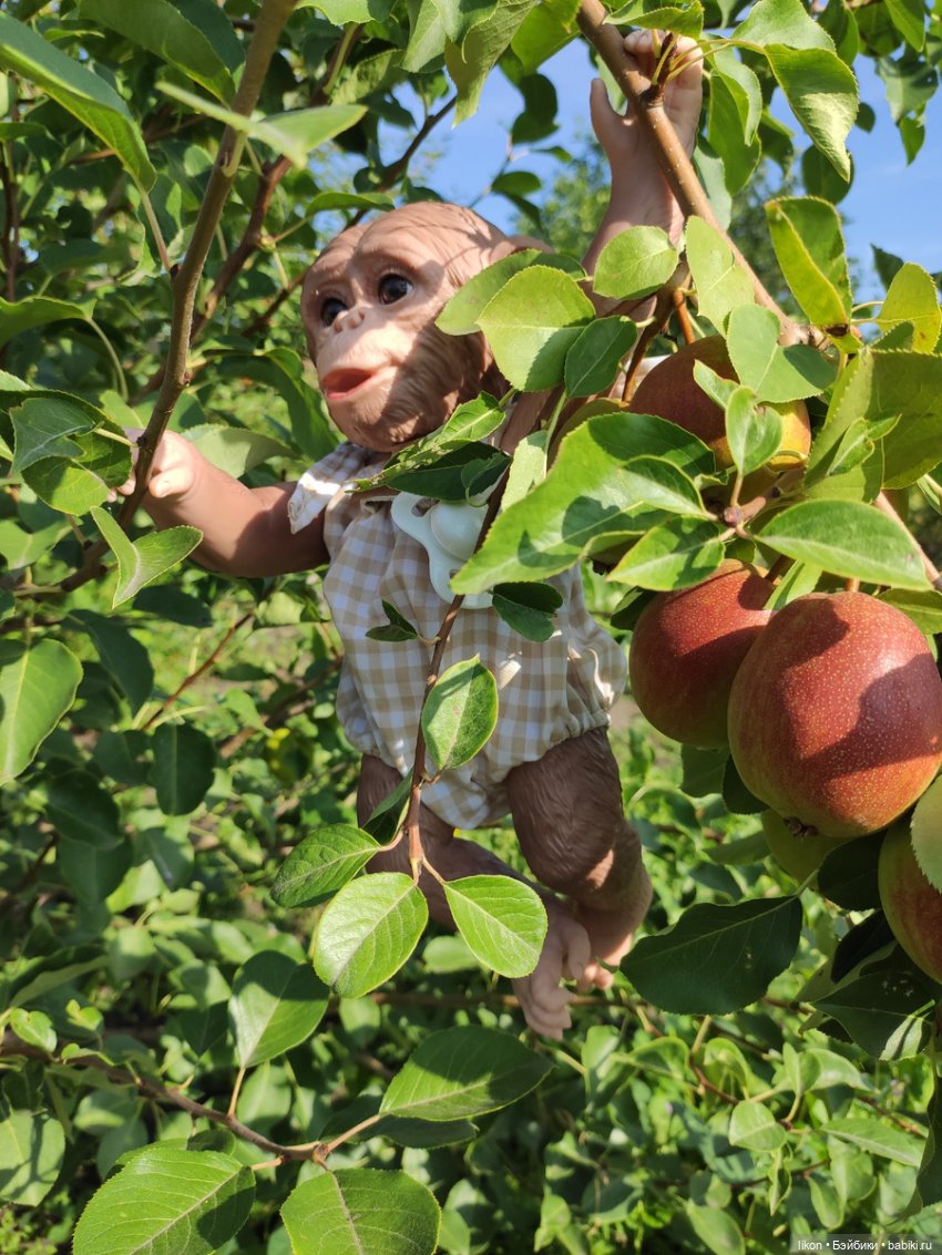 Мы пришли познакомиться. Я Гоша