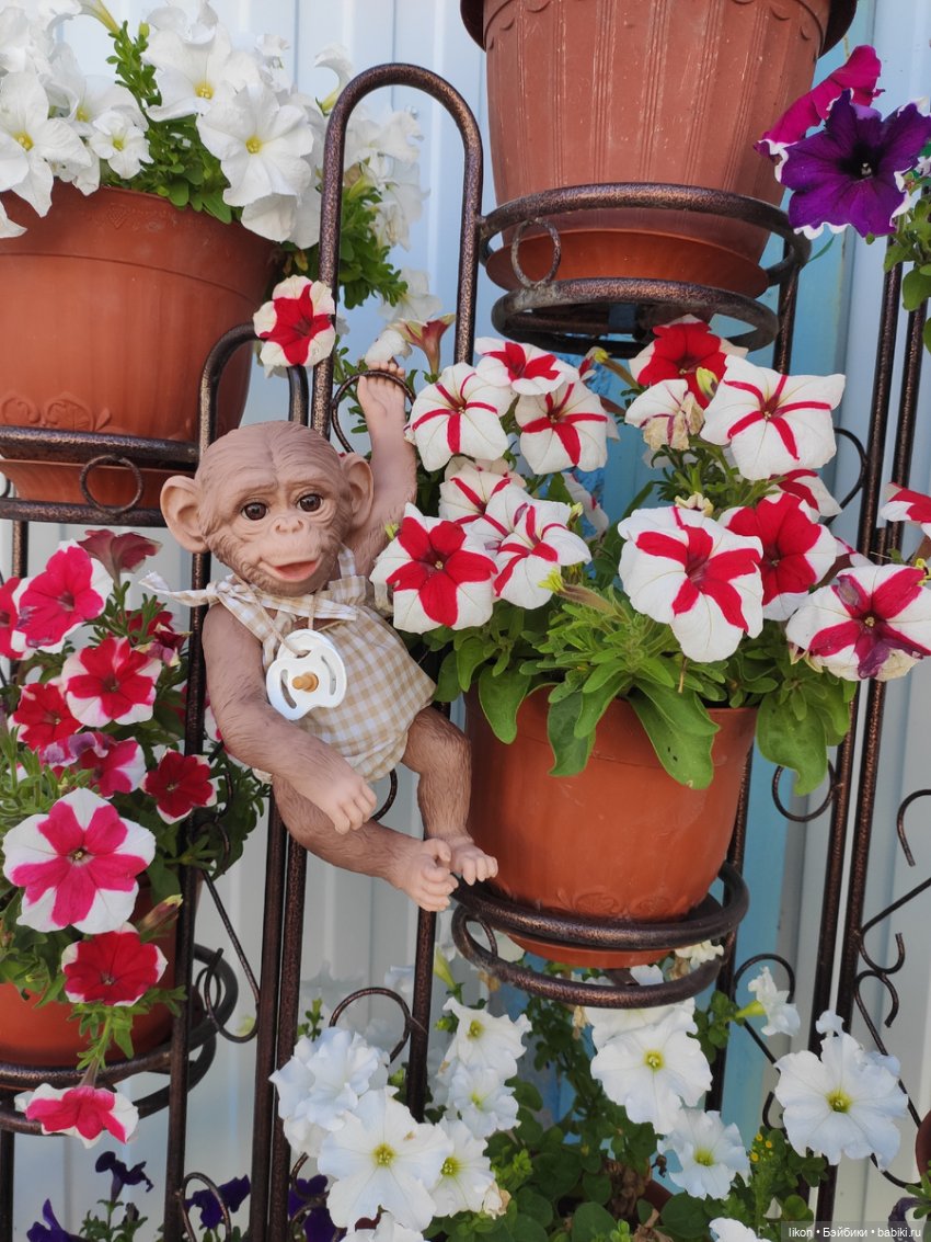 Мы пришли познакомиться. Я Гоша (фото 6)