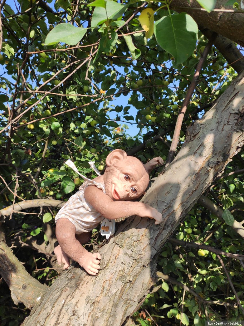 Мы пришли познакомиться. Я Гоша (фото 8)