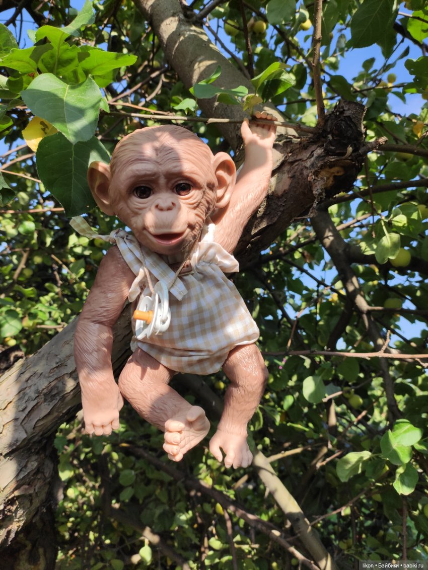 Мы пришли познакомиться. Я Гоша (фото 9)