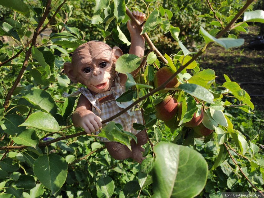 Мы пришли познакомиться. Я Гоша