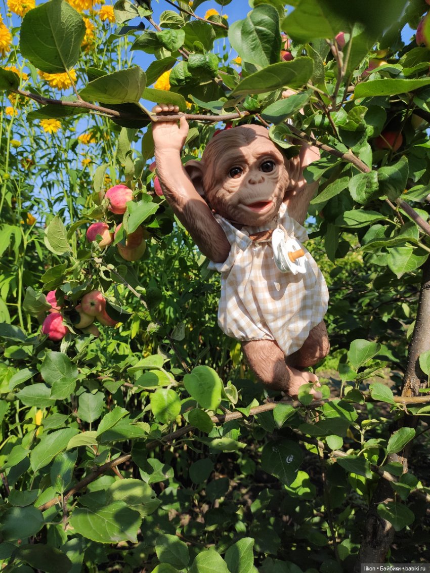 Мы пришли познакомиться. Я Гоша