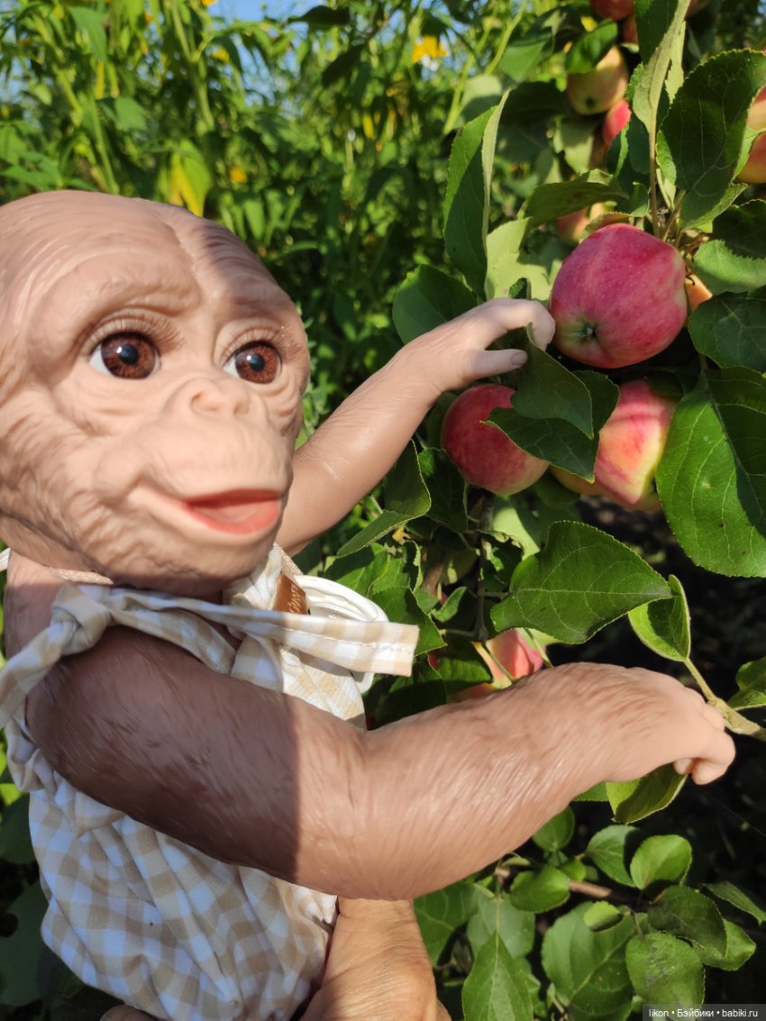 Мы пришли познакомиться. Я Гоша