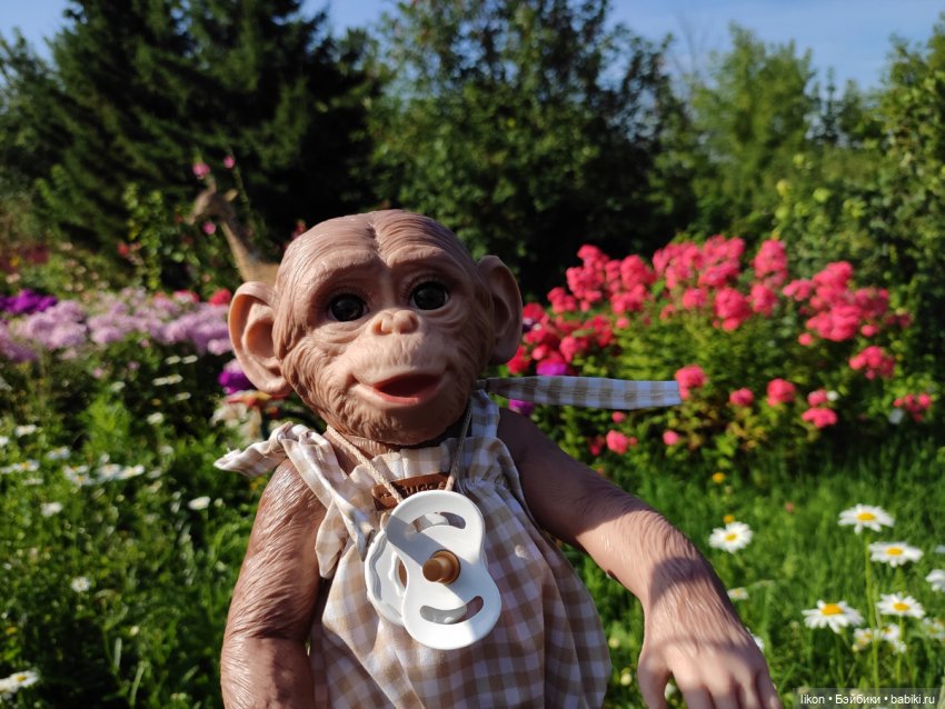 Мы пришли познакомиться. Я Гоша