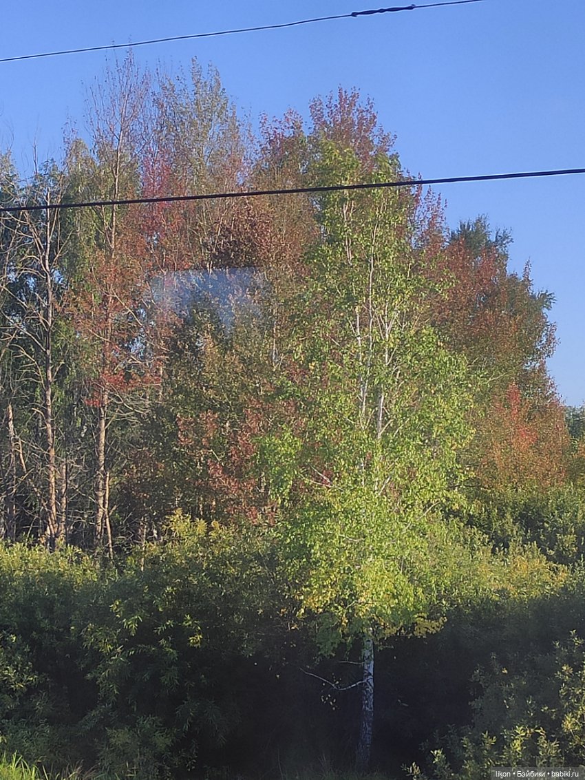 Лея в Новосибирске на "Балу Кукол"