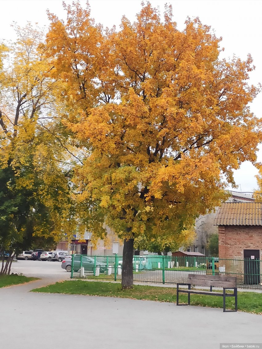 Сибирская осень — Куклы Schildkrot (Шильдкрет): современные (фото 6)
