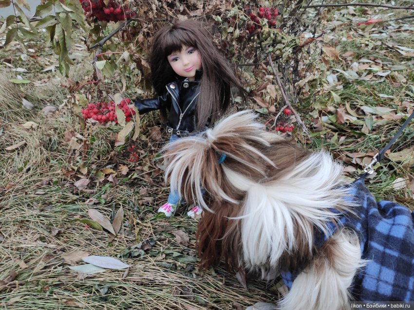 Осенняя прогулка Виктории Руби Рэд | Бэйбики Осенняя прогулка Виктории Руби Рэд