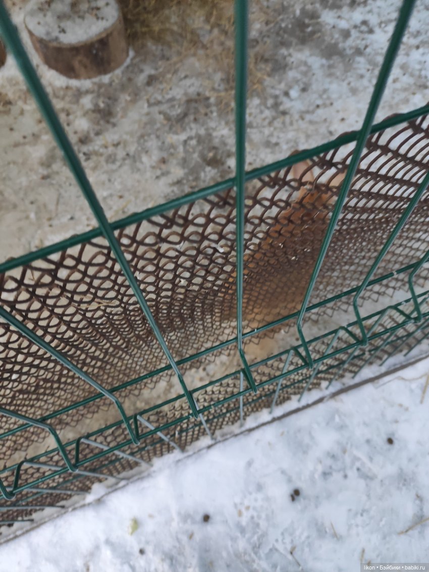 Зимняя сказка продолжается