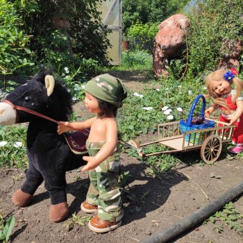 Мои помощники. Сегодня мы собираем крыжовник