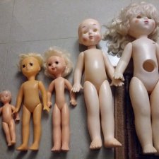 Помогите опознать куколок