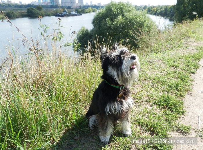 Ловись рыбка большая и маленькая. Сестрички фейсинки (Galoob Baby Face) на рыбалке (фото 5)