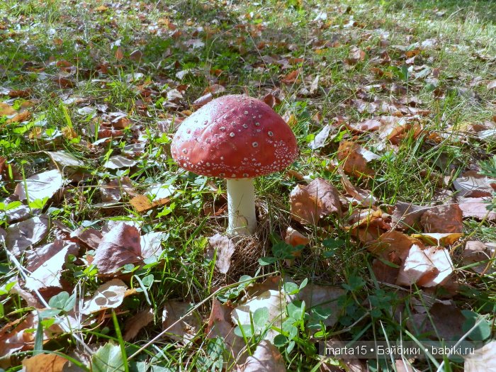 Ходит осень в нашем парке, Дарит осень всем подарки)) Сестрички фейсинки (Galoob Baby Face) на прогулке
