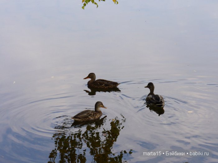 Ходит осень в нашем парке, Дарит осень всем подарки)) Сестрички фейсинки (Galoob Baby Face) на прогулке