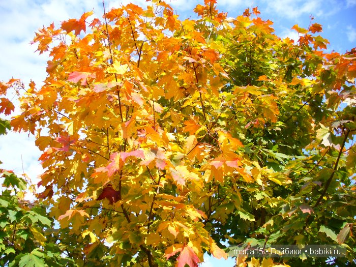 Ходит осень в нашем парке, Дарит осень всем подарки)) Сестрички фейсинки (Galoob Baby Face) на прогулке