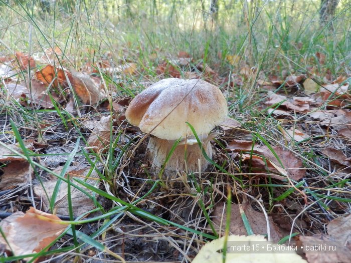 Ходит осень в нашем парке, Дарит осень всем подарки)) Сестрички фейсинки (Galoob Baby Face) на прогулке