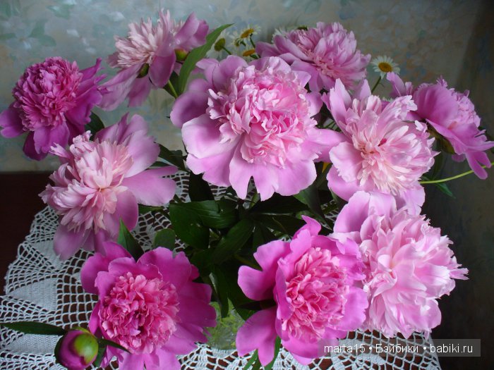 ВСЁ-ТАКИ ЛЕТО!!! Маленький летний фоторепортаж. Подружки Шерри и Синтия Galoob Baby Facе на прогулке