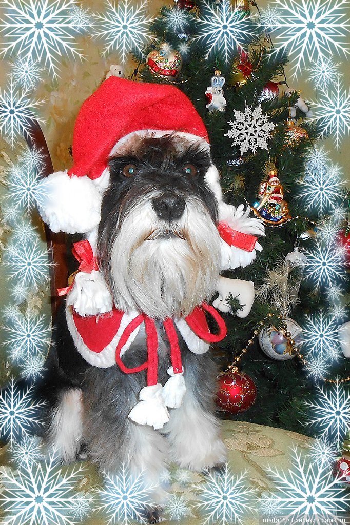 Путешествие из Петербурга в Москву. Или как сбываются мечты