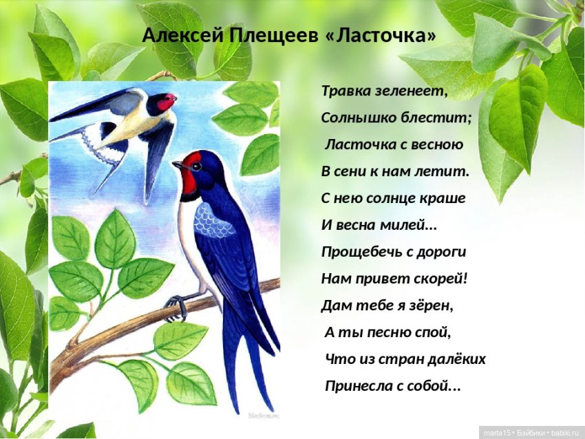 Нудни и радости маленьких гномиков