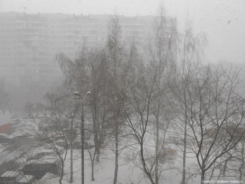 Нудни и радости маленьких гномиков (фото 3)