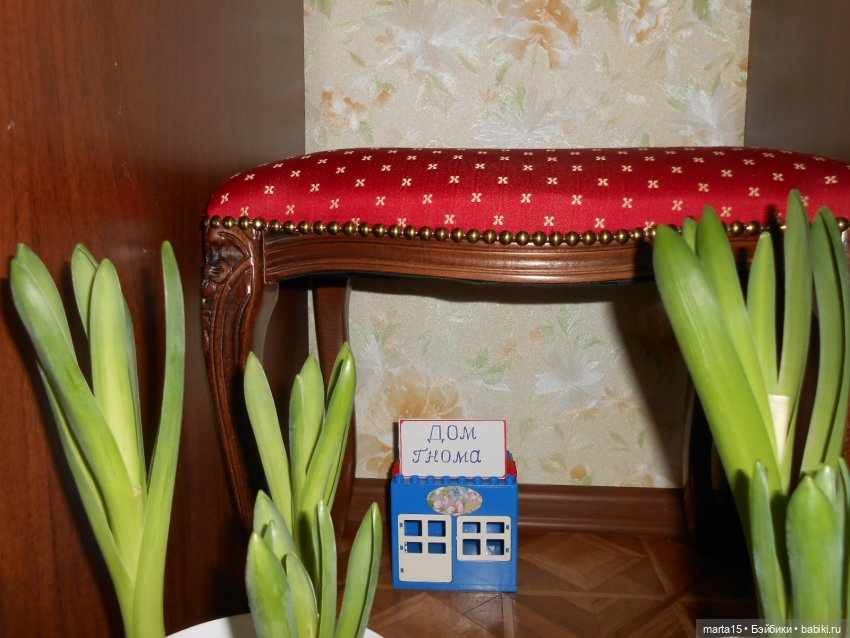 Нудни и радости маленьких гномиков