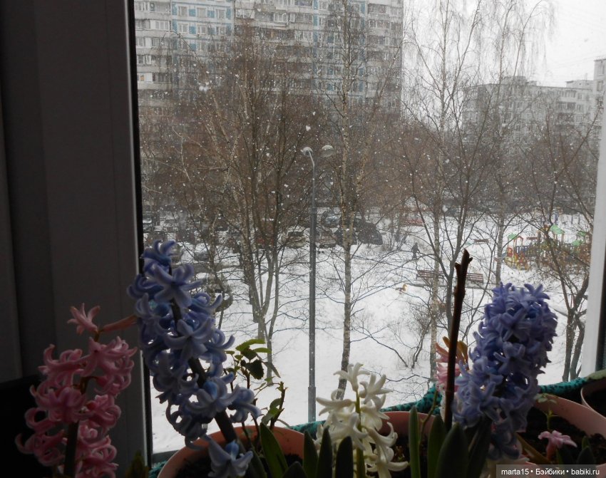 Нудни и радости маленьких гномиков