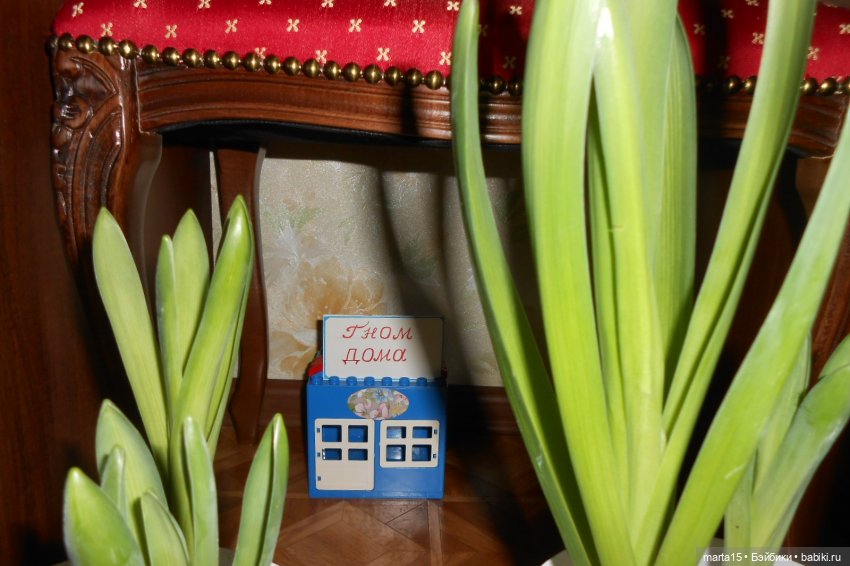 Нудни и радости маленьких гномиков