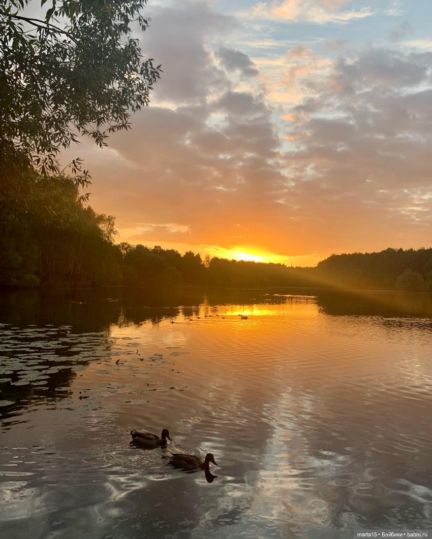 Из жизни цвергов. Коротенькая зарисовка (фото 9)