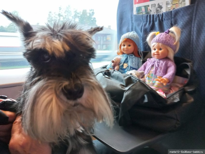 Маленькое путешествие - большая радость. Или, как красиво мы провожали лето (фото 5)