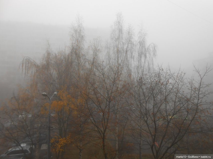 Сегодня праздник у девчат (фото 9)