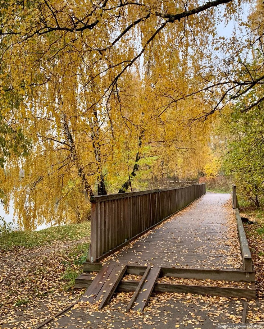 Сегодня праздник у девчат (фото 7)