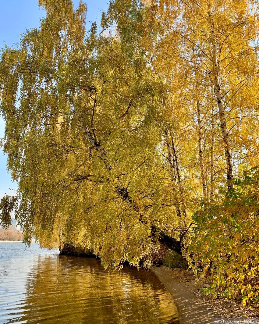 Сегодня праздник у девчат (фото 6)